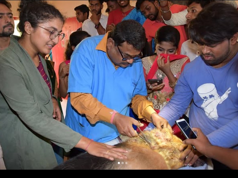 Dog Treatment During NSS Camp Kankavali